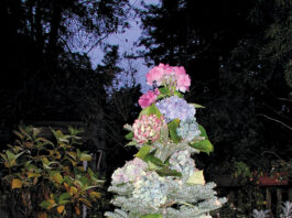 The meaning of our holiday traditions jan's garden the mountain gardener