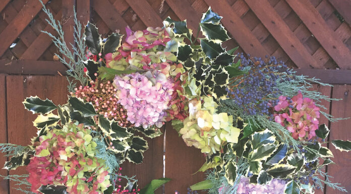 Making a holiday wreath jan nelson mountain gardener