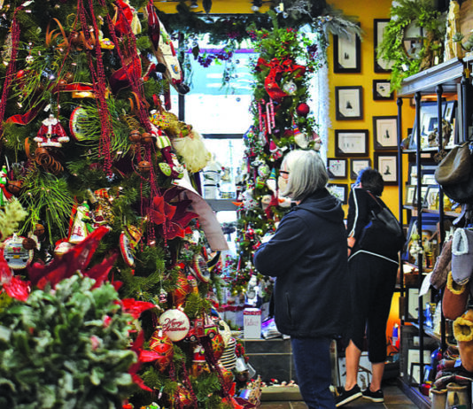 New loan, grant opportunities arise for small businesses Scotts Valley business