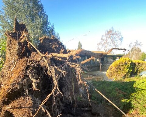 High winds cause fires, power outages