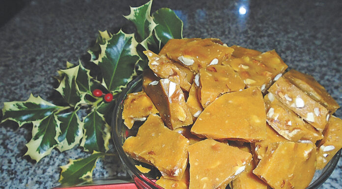 A time of gratitude plain talk about food