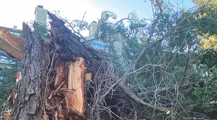 Less than half of residents evacuated during sweeping debris flow response debris flow evacuations san lorenzo valley