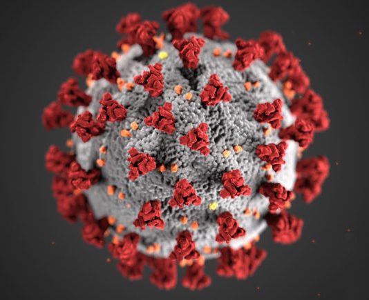 Covid-19 variant found in Santa Cruz County Watsonville coronavirus