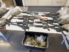 High-powered rifles, unlicensed cannabis seized in Bonny Doon Bonny Doon drug bust