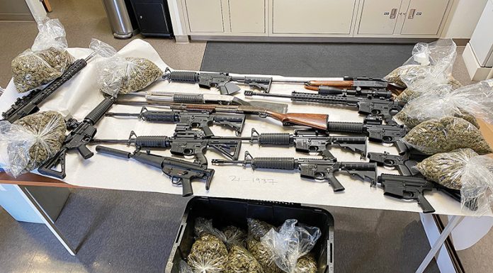 High-powered rifles, unlicensed cannabis seized in Bonny Doon Bonny Doon drug bust