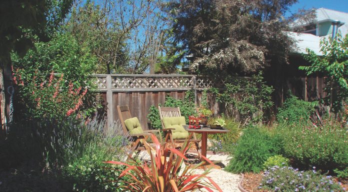 Rethink the lawn and save money too the mountain gardener