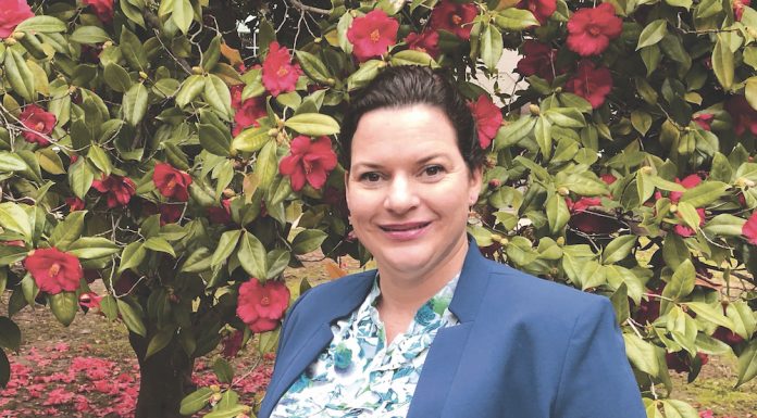 Newly elected SLVWD director abruptly resigns Tina Marie To SLVWD resigns