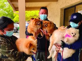 County animal shelter reinstates free pop-up clinics Healthy pets for all santa cruz county