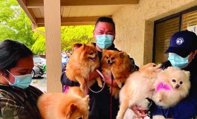 County animal shelter reinstates free pop-up clinics Healthy pets for all santa cruz county