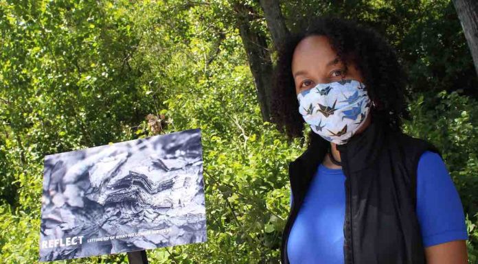 Art exhibit provides space for locals touched by CZU fire to reflect Devi Pride felton library fire czu