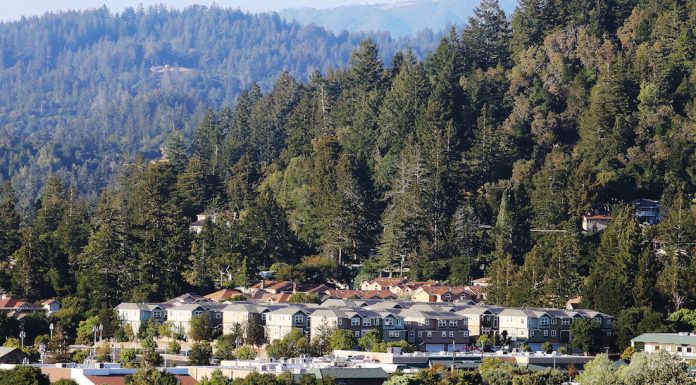 Scotts Valley, SLV housing markets skyrocket as Bay Area prices climb scotts valley real estate san lorenzo valley