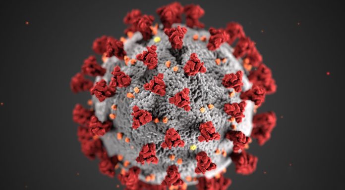 Santa Cruz County sees first reported case of Delta variant Watsonville coronavirus