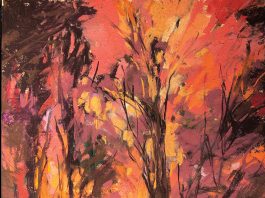Bonny Doon art tour returns this month Doonart tour