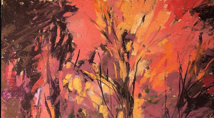 Bonny Doon art tour returns this month Doonart tour