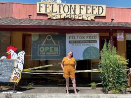 Felton Feed picks up the pieces after car smashes into storefront Felton Feed