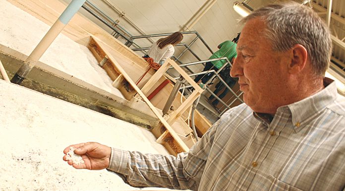 SLVWD plans $10 per month increase to fund CZU rebuild SLVWD