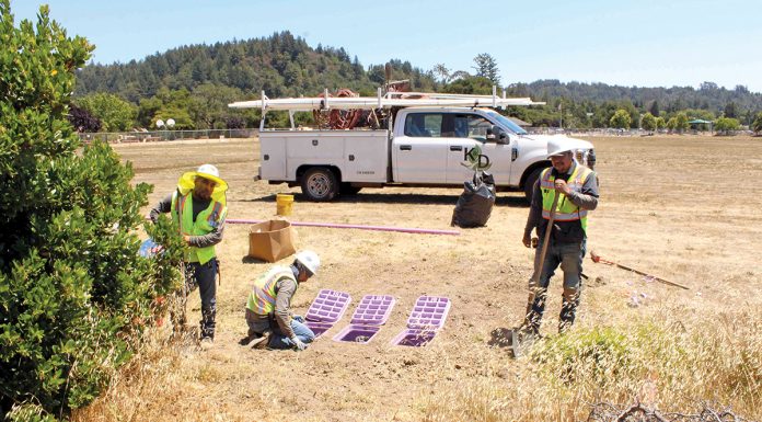 Skypark set for needed facelift, could be open within weeks Skypark scotts valley