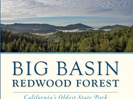 New Book Dives Into Big Basin’s History