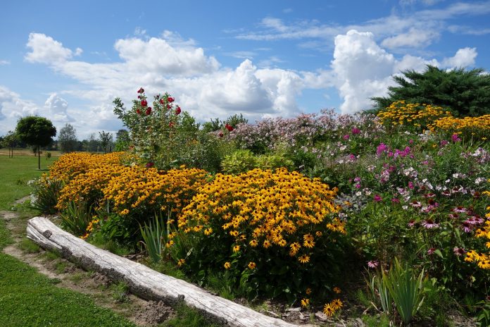 the mountain gardener