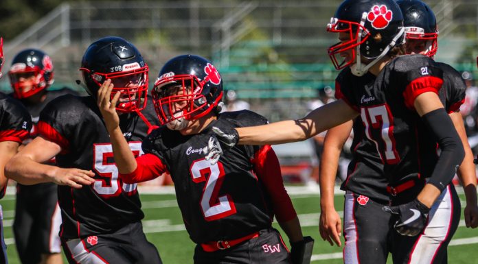 Cougars pounce on Dons for second straight win | HS football