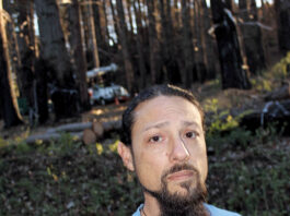 Residents Question Need for Pine Flats Road Tree Removal Work PG&E Tree removal