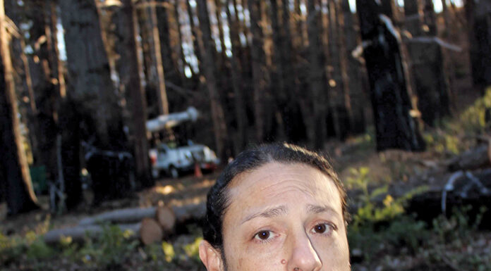 Residents Question Need for Pine Flats Road Tree Removal Work PG&E Tree removal