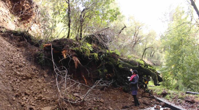 Crews Work to Clear Landslides on Christmas Eve Zayante landslide