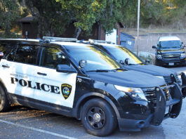 Scotts Valley Police urge sober driving this Halloween scotts valley police