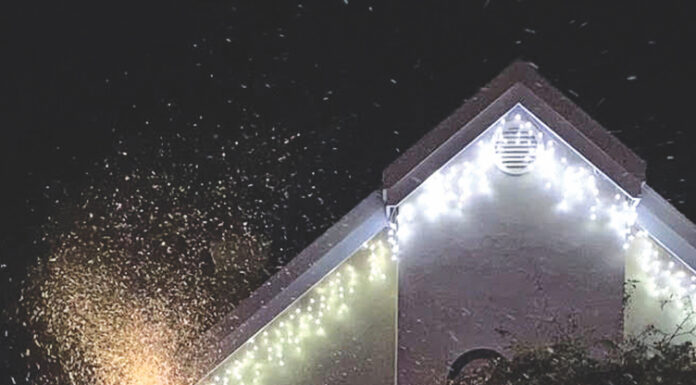 Holiday Tree Lighting Event Draws Hundreds scotts valley tree lighting