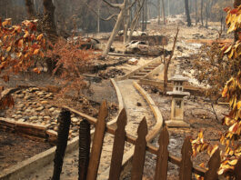 County’s climate action plan will undergo update CZU August Lightning Complex fires