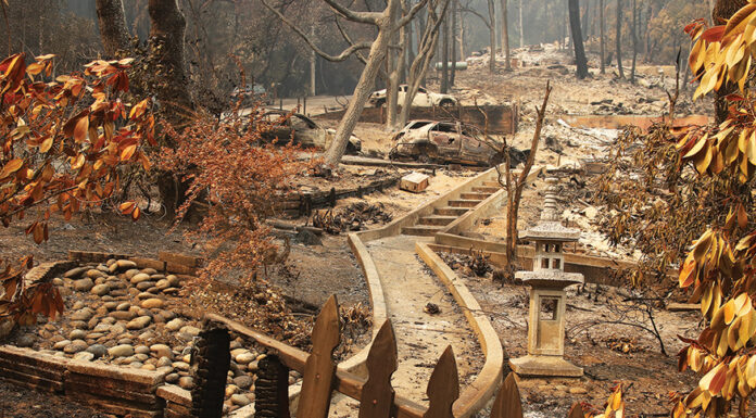 County’s climate action plan will undergo update CZU August Lightning Complex fires