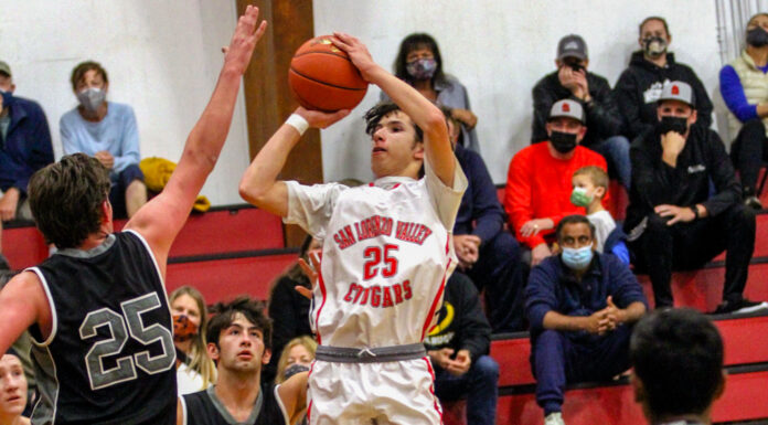 Cougars boys’ hoops league season sits on the backburner after games get postponed