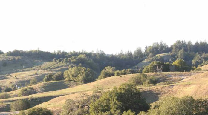 City Applying For $20K Green Bin Grant, Creating New Preserve Entry Glenwood Preserve