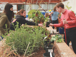 Technical Education Classes Prep Students for Changing Work World Technical education SLVHS