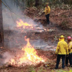 Image for display with article titled Local Controlled-Burn Projects Proceed