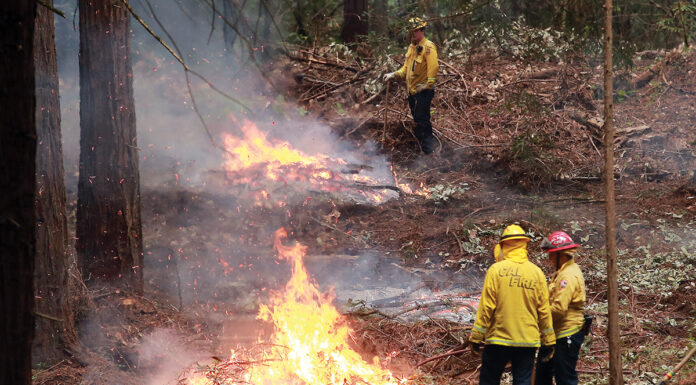 Local Controlled-Burn Projects Proceed Cal Fire controlled burn