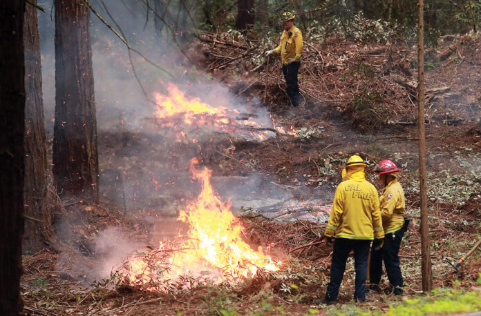 Cal Fire controlled burn