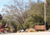 Scotts Valley Council divvies up community grants scotts valley finances
