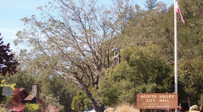 City Council Split Over $50K Worth Of Grants For Local Nonprofits scotts valley finances