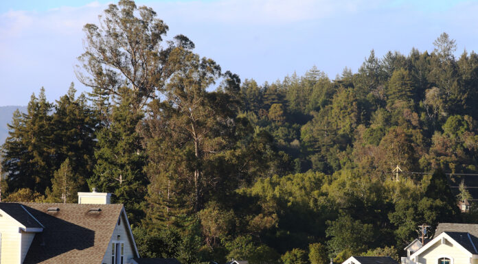 State Eviction Protections Extended Through June evictions scotts valley