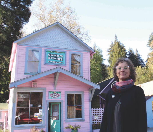 Ben Lomond Business Revels in History sew rose ben lomond