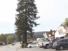 Felton Springing Into Season With Sidewalk Sale This Saturday Downtown Felton