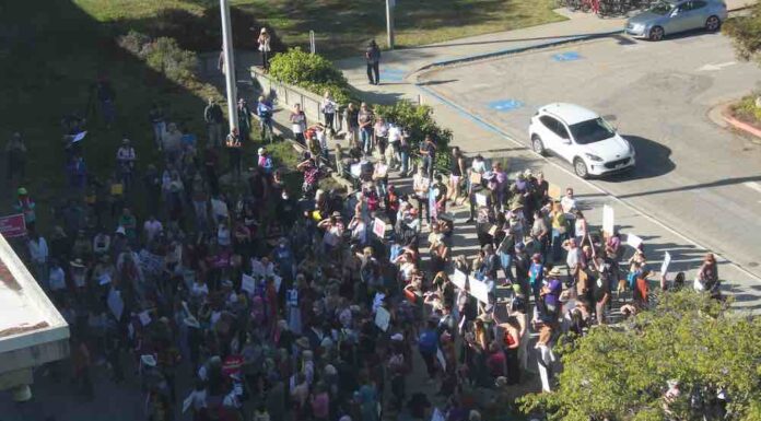 North County Community Responds to Roe v. Wade Draft Opinion abortion ruling
