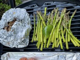 All about salmon Salmon