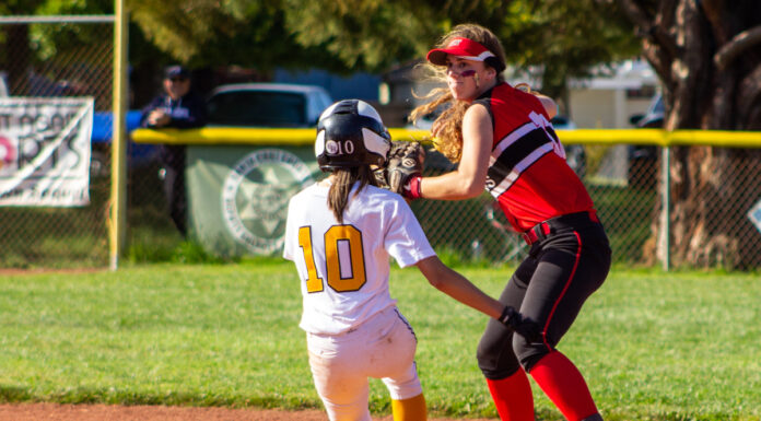 Podcast: Breaking down CCS baseball, softball playoffs | Cover 3 Sports