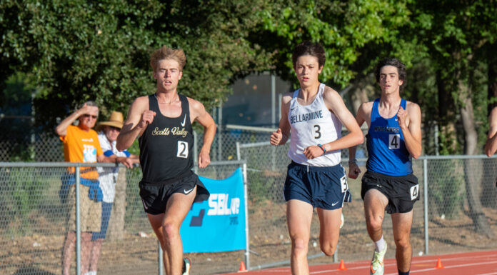 Falcons distance runners soar to new heights at CIF State finals | High school track
