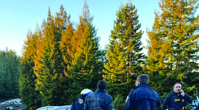 Preliminary hearing: suspect accused of shooting at CHP officers in Scotts Valley CHP arresting suspect