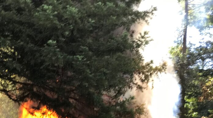 Mobile homes destroyed in fire trailer park fire