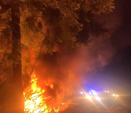 Scotts Valley Brothers Rescue Woman from Fiery Crash scotts valley crash