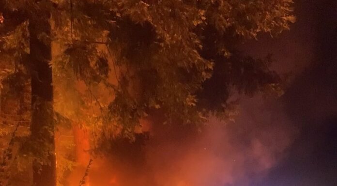 Scotts Valley Brothers Rescue Woman from Fiery Crash scotts valley crash